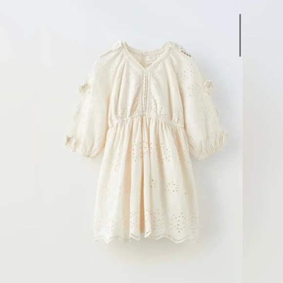 Zara | Dresses | Zara Embroidered Schiffli Dress 449366 | Poshmark